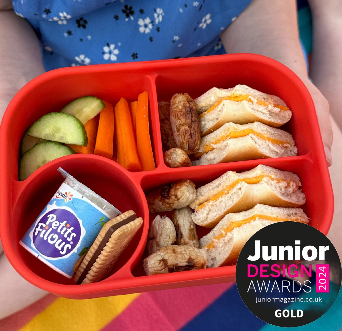 A child on a picnic blanket holding a red four compartment silicone lunchbox containing a cheese bagel, cocktail sausages, a chocolate biscuit, small kids yogurt and chopped carrot and cucumber.