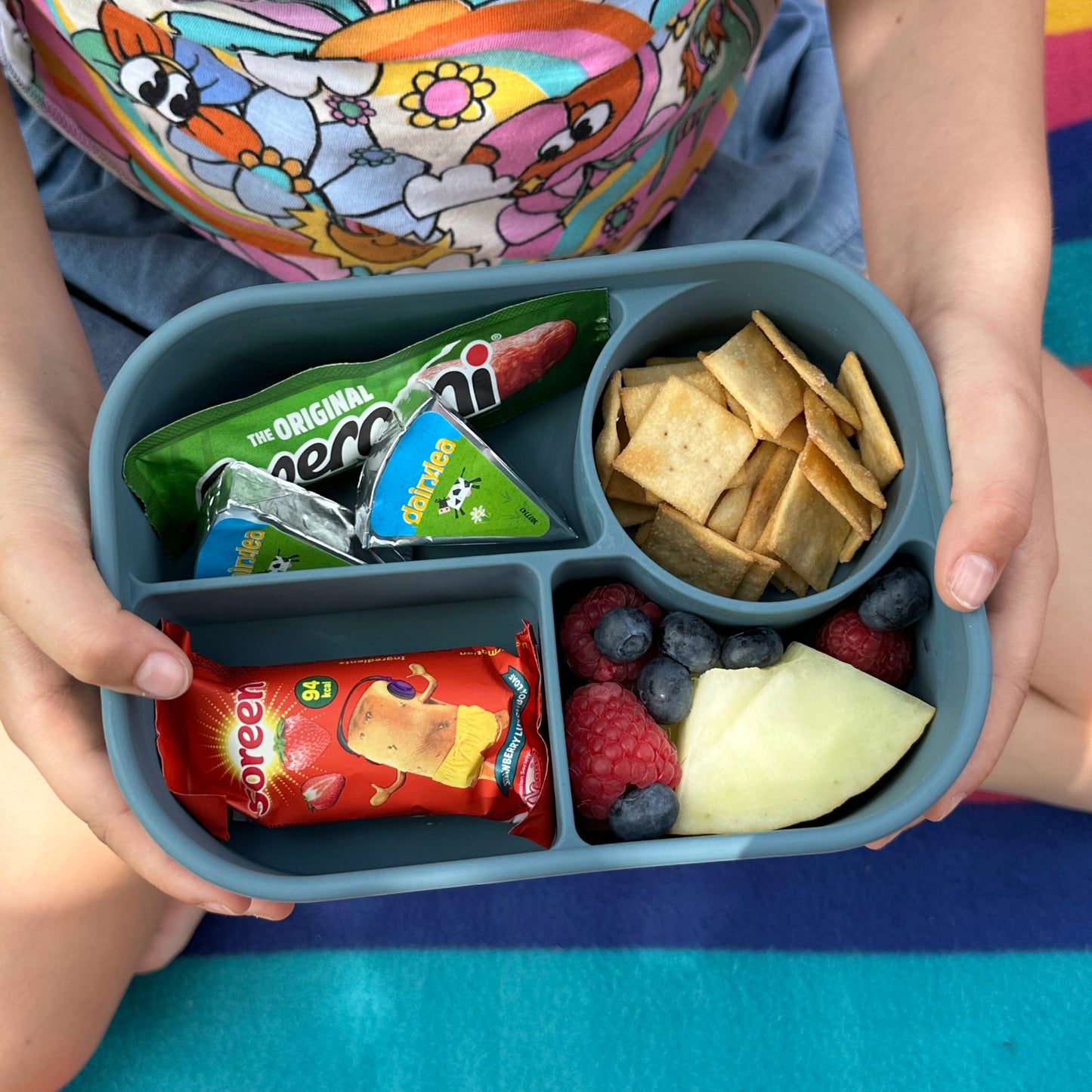 A child on a picnic blanket holding a blue four compartment lunchbox containing a Pepperami, 2 Dairlea cheese triangles, square crackers, a Soreen bar, blueberries, raspberries and chopped honeydew melon.