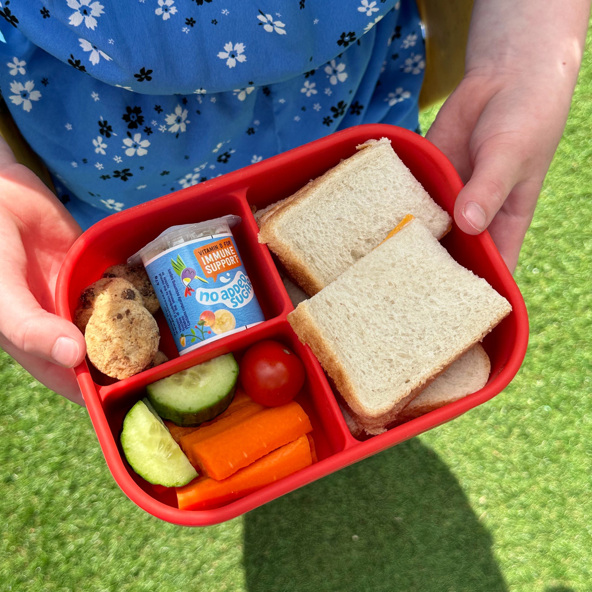 a child holding a red 3 compartment lunchbox filled with a cheese sandwich, chopped vegetables, mini cookies and a small kids yogurt.